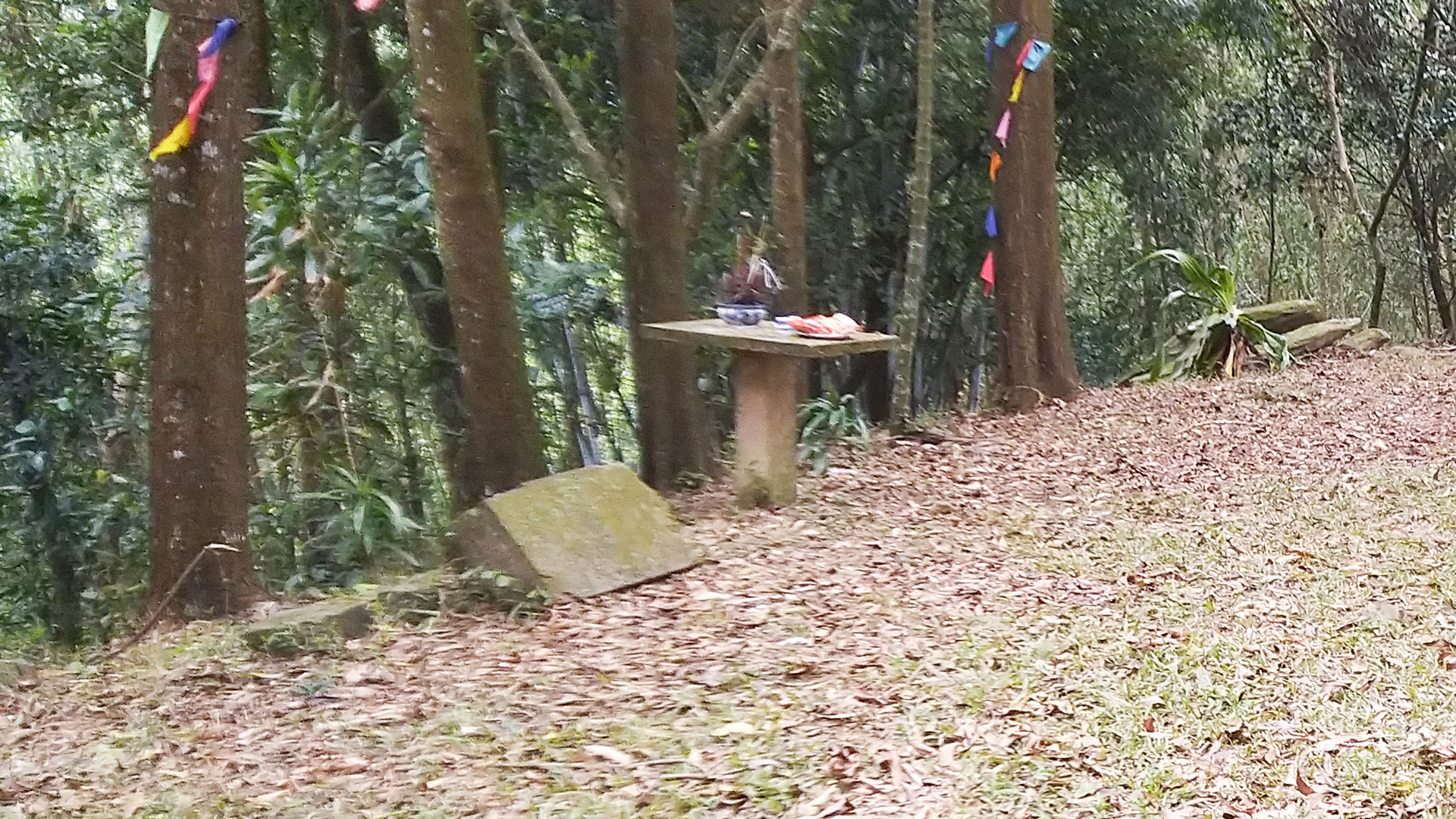 3_Cây Hương Trước Đền.jpg